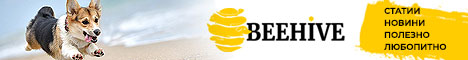 beehive banner image