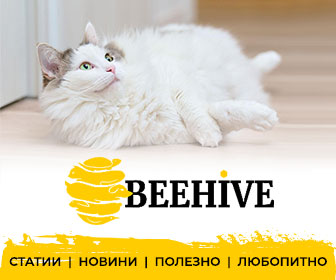 beehive banner image